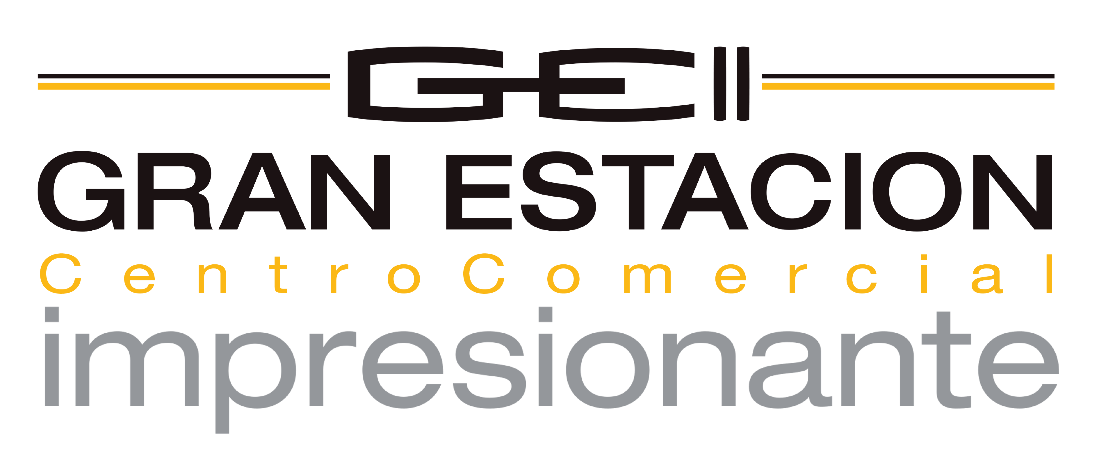 LOGO-GEII